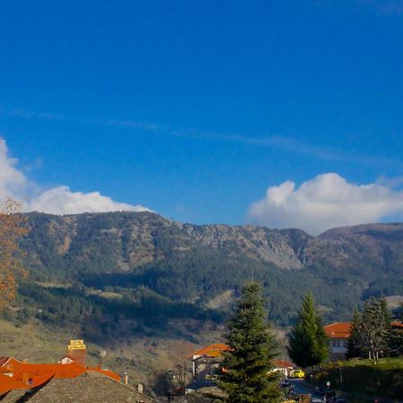 Hotel Galaxias Metsovo Extérieur photo